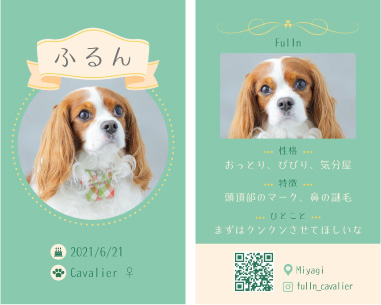 ペット名刺A イメージ画像