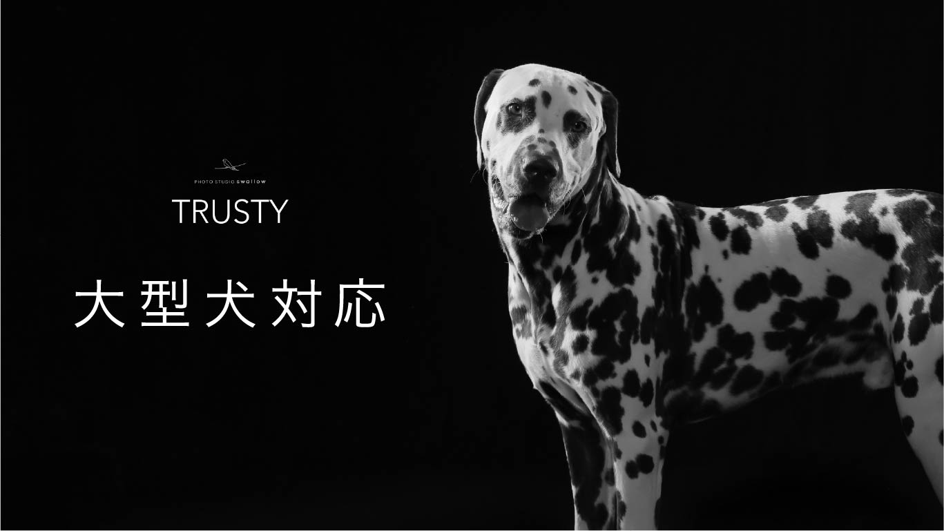 大型犬対応